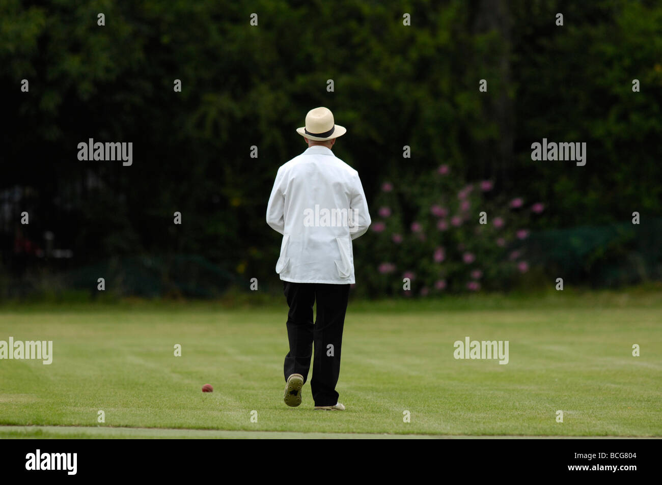 rear view of cricket umpire Stock Photo