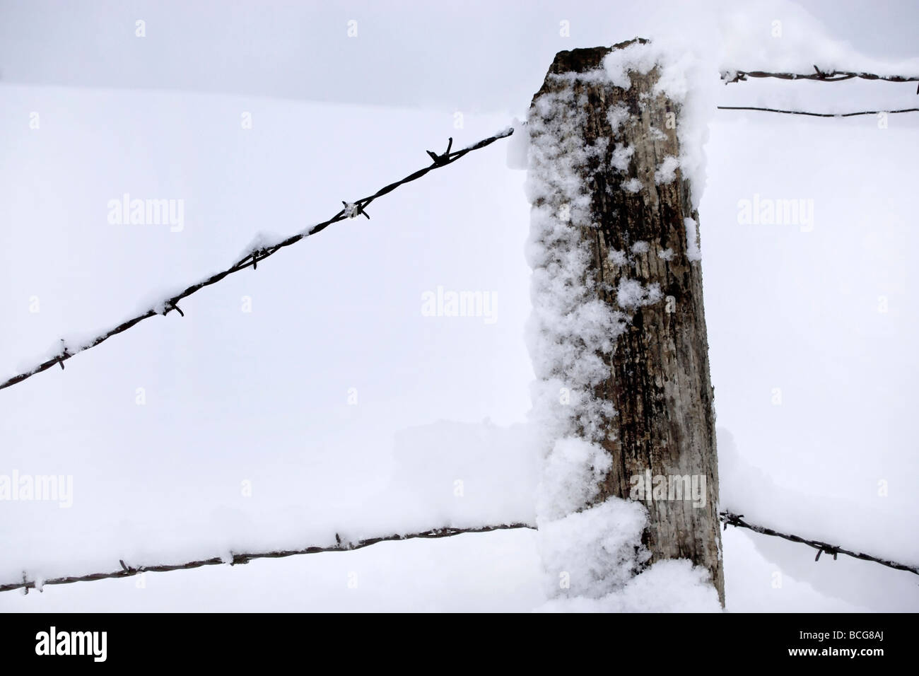 Barb wire and fence pole covered in snow Bavaria Germany Stock Photo ...