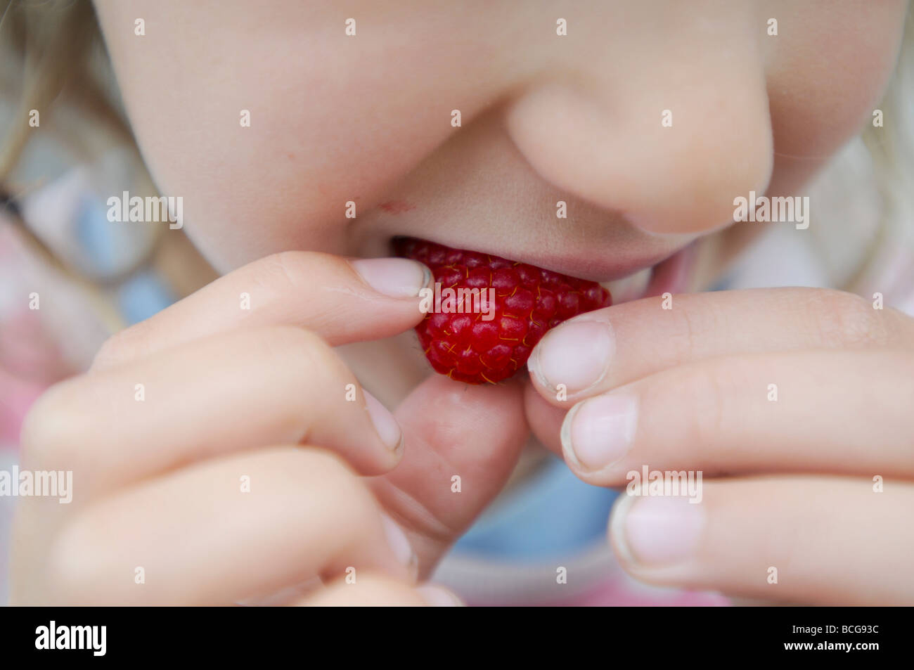 A six year old girl eating raspberries fresh from the garden Stock Photo