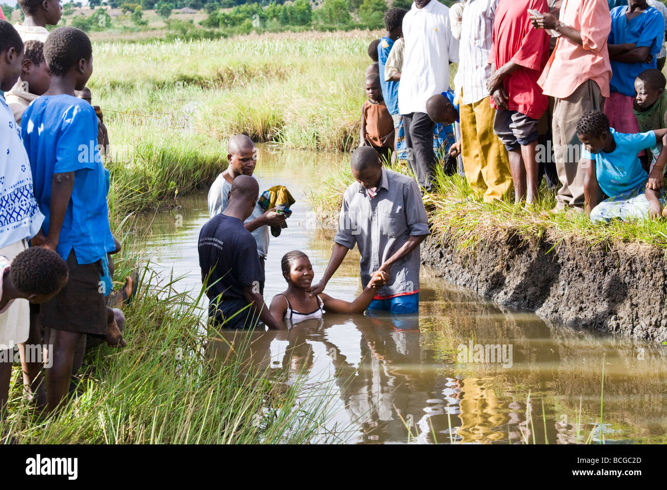 Adult Christian baptism by total immersion in a shallow river near the village of Nyombe, Malawi, Africa Stock Photo
