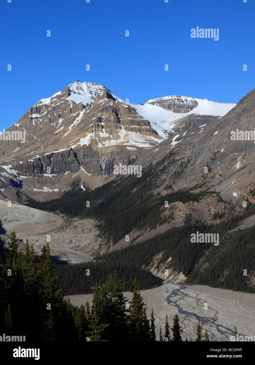 Canada Alberta Banff National Park Mount Rhonda Peyto Glacier Stock ...