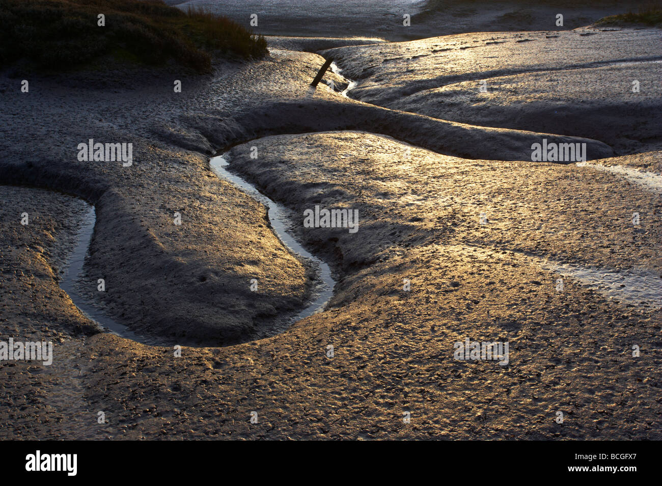 Detail of patterns in the mud at the Saltmarshes at Wells next the Sea on the North Norfolk Coast Stock Photo