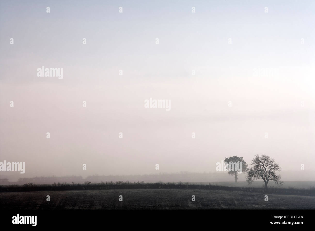 Uk misty field trees hi-res stock photography and images - Alamy