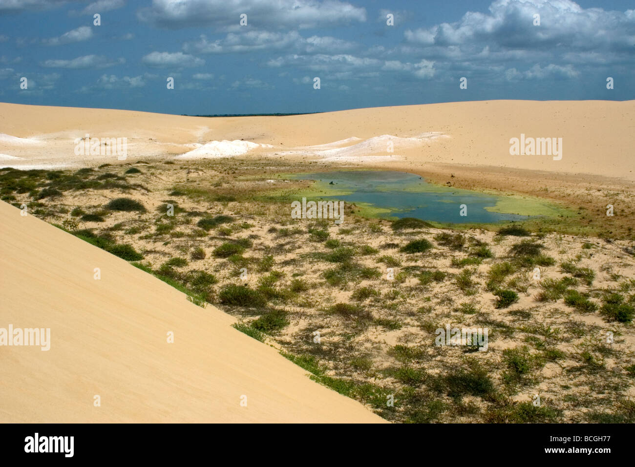 Sand dunes and lake at Ilha Grande de Santa Isabel Parnaiba river delta Piaui Brazil Stock Photo