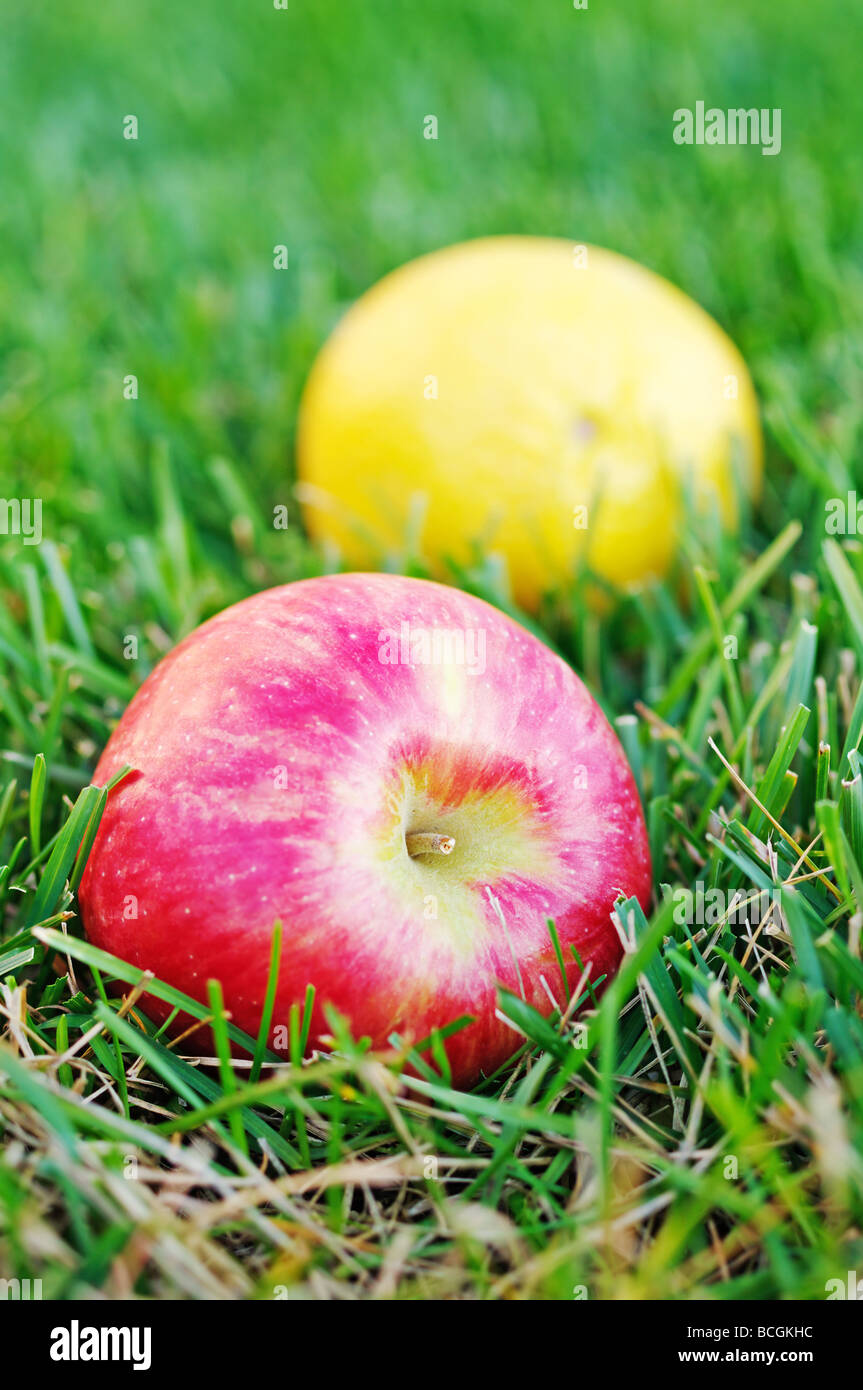 Red apple and orange in grass Stock Photo
