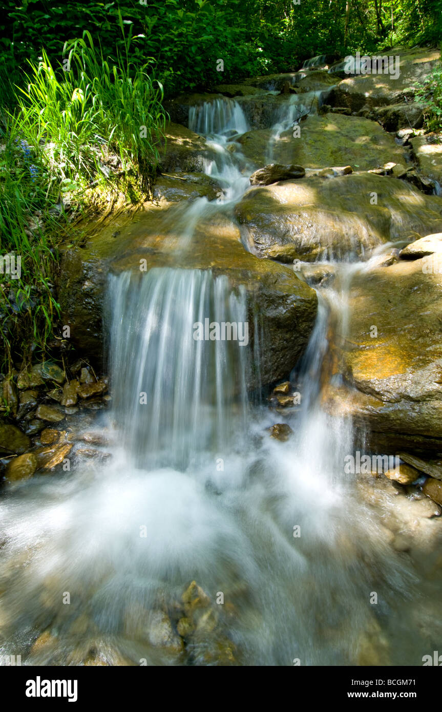 Fresh water stream falling over a small waterfall in Austria Stock Photo
