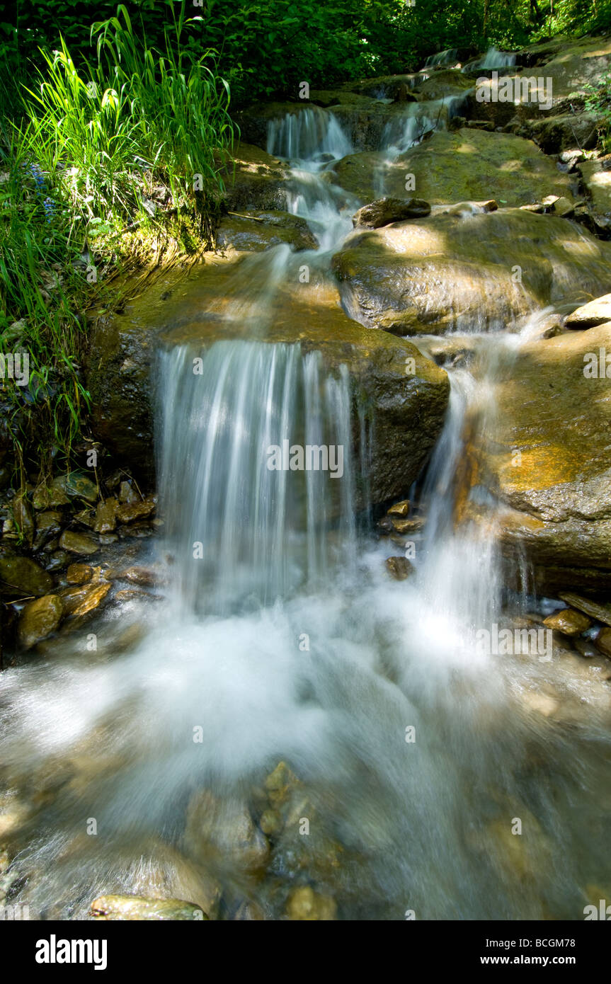 Fresh water stream falling over a small waterfall in Austria Stock Photo
