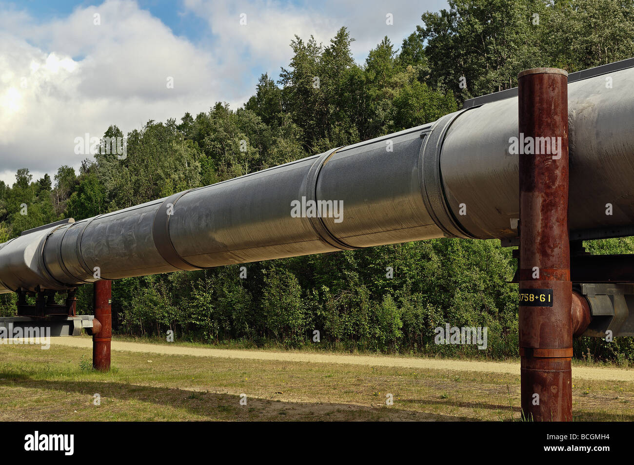 Trans Alaska oil pipeline Stock Photo