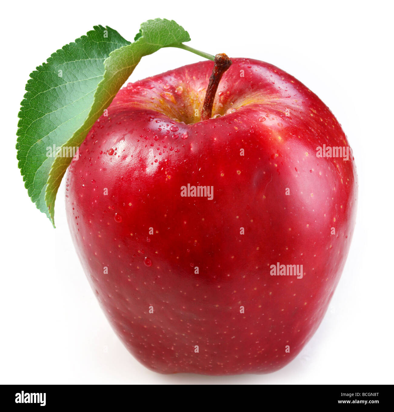 Red apple on a white background Stock Photo