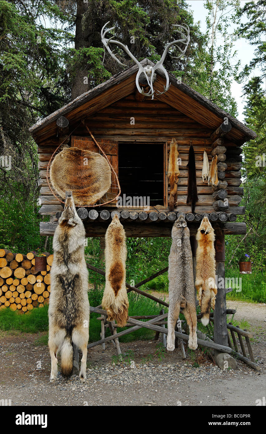 Traditional food cache Athabaskan, Chena Indian Village, Fairbanks, Alaska, USA Stock Photo