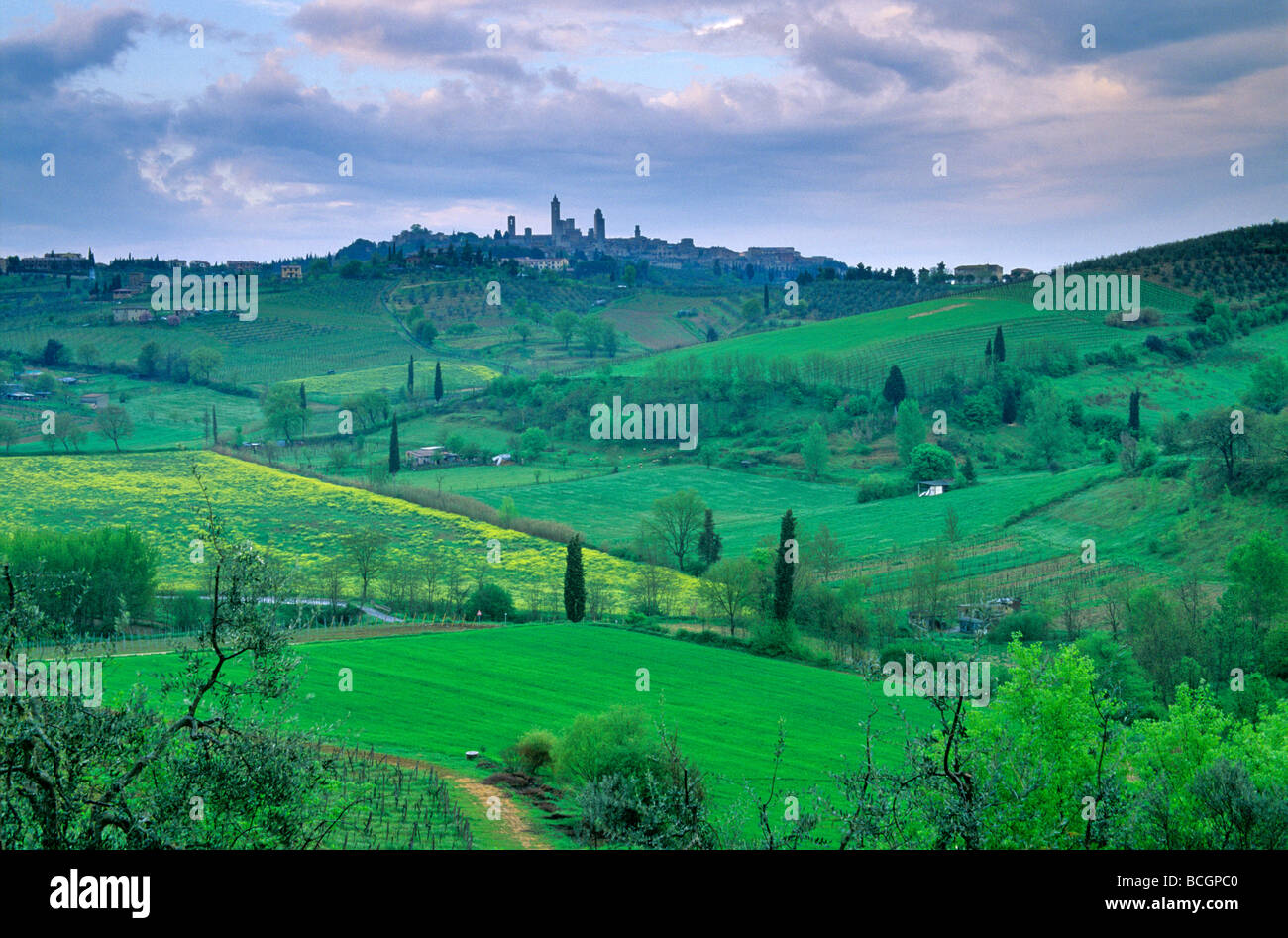 Landscape of Tuscany with Medieval hilltop town of San Gimignano Tuscany Italy BEAN ALPix 0097 Stock Photo