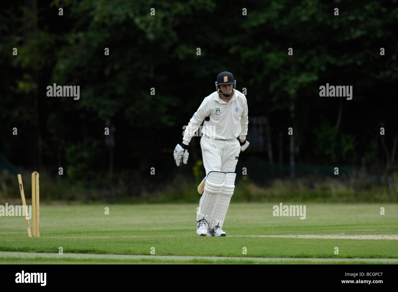 batsman looks at stumps after having been bowled out Stock Photo Alamy