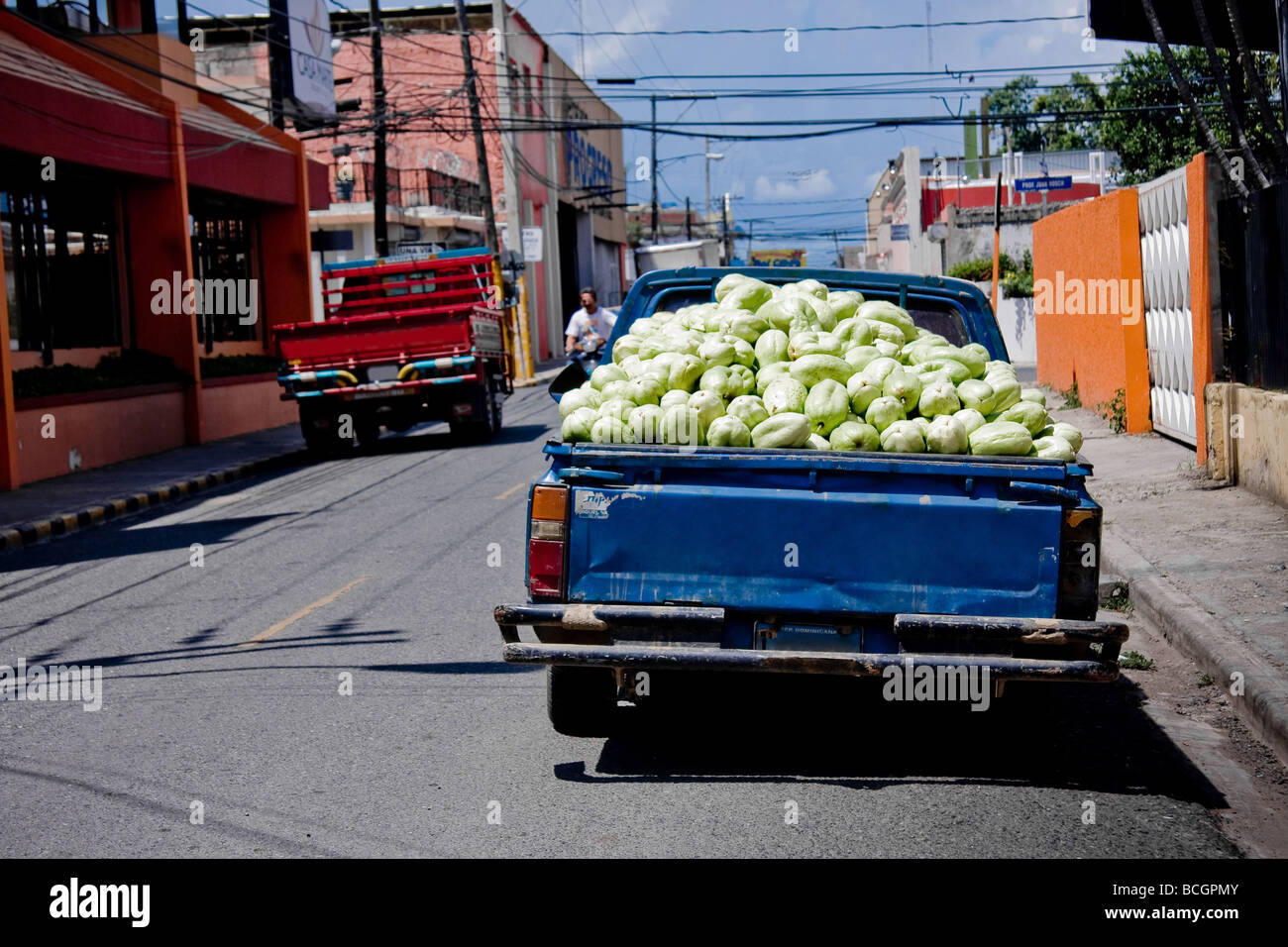 A truck piled high with a full load of Chayote aka Tayota fruit in the city of Savanna Dominican Republic Stock Photo