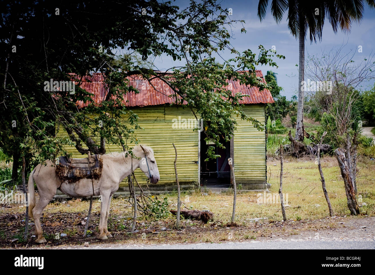 DominicanRepublic #countrysideofDominincanRepublic #nagua #village #w