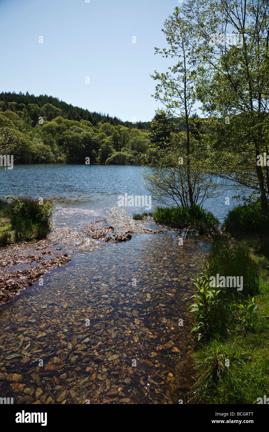 Llyn Mair, Snowdonia National Park, Gwynedd, Wales Stock Photo