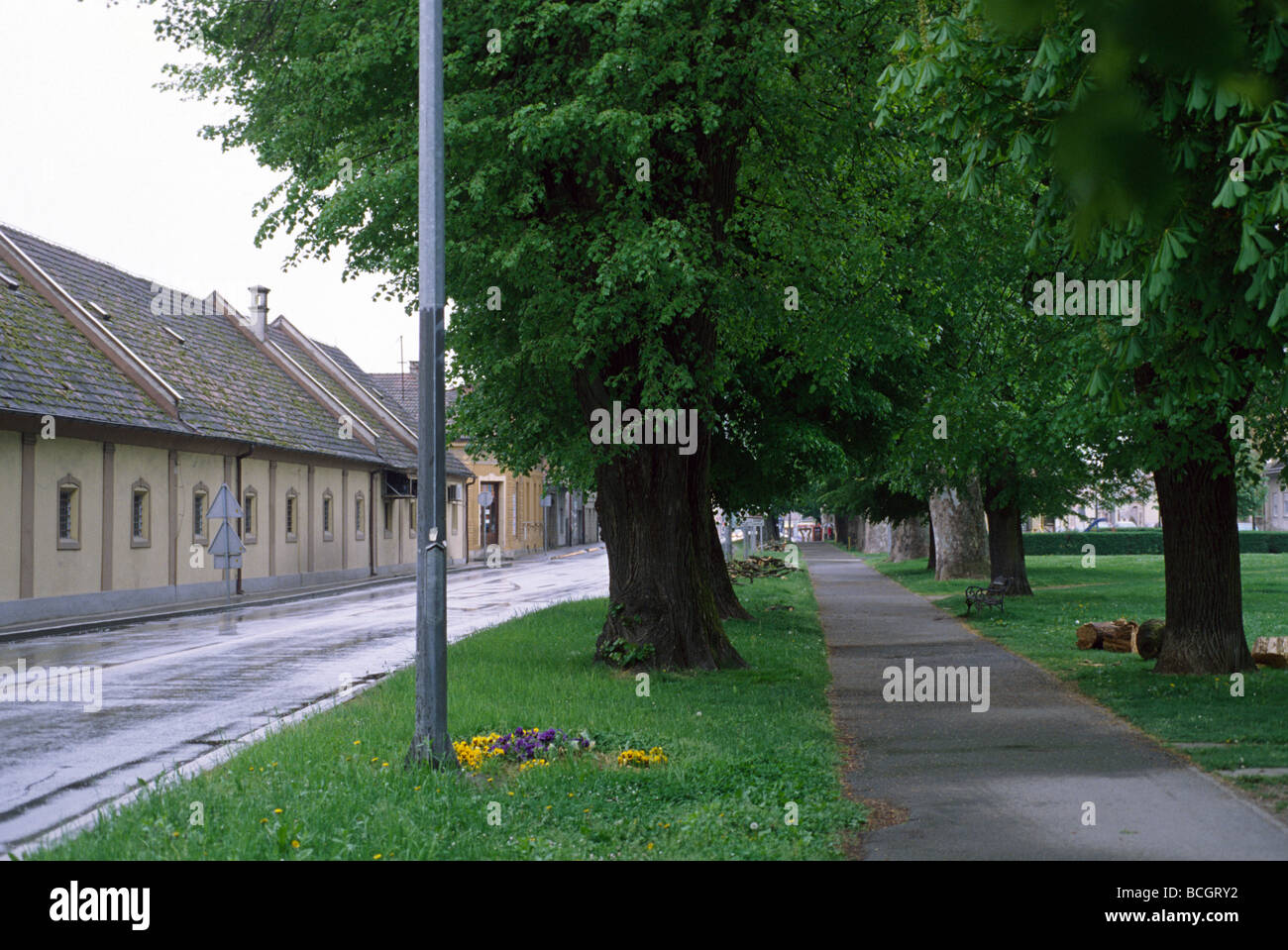 City street, Bjelovar, Croatia Stock Photo