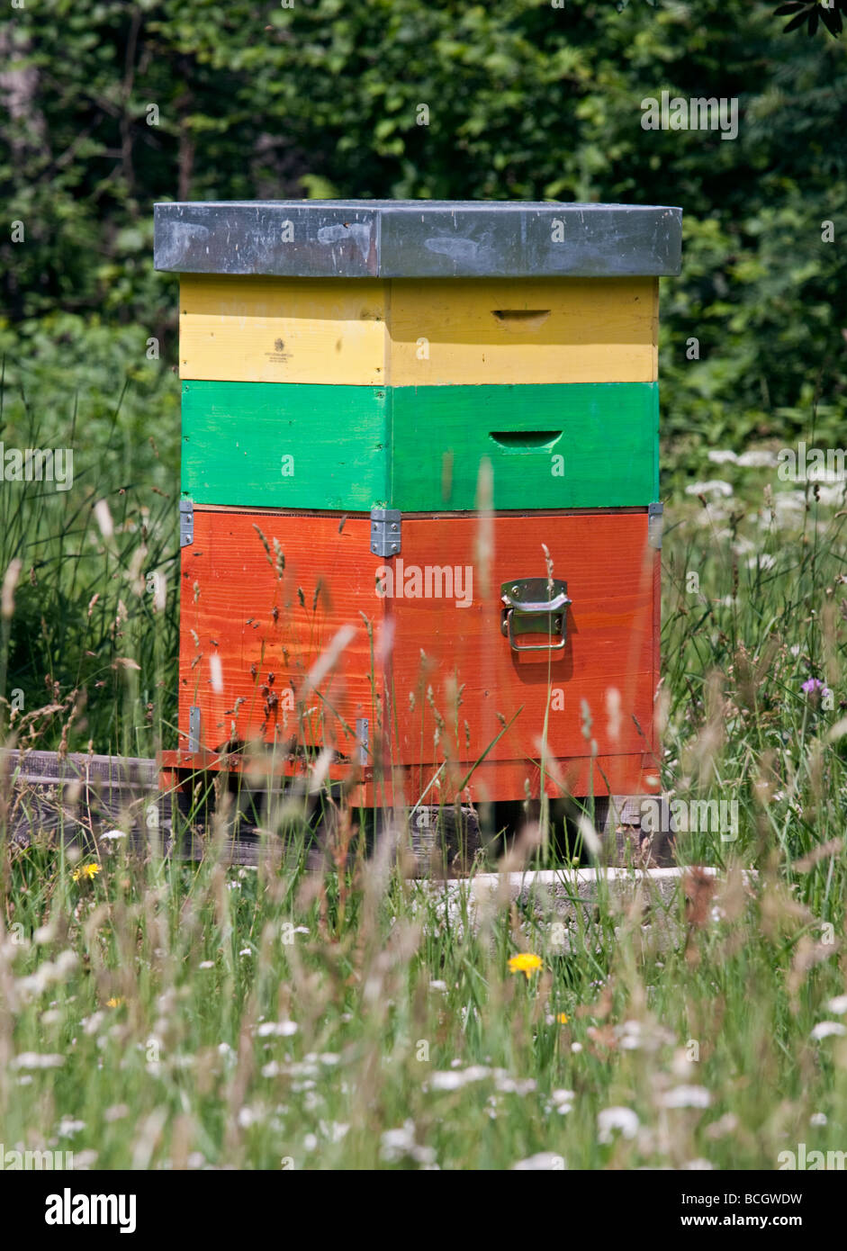 Beehive in the Alps, Northern Italy Stock Photo