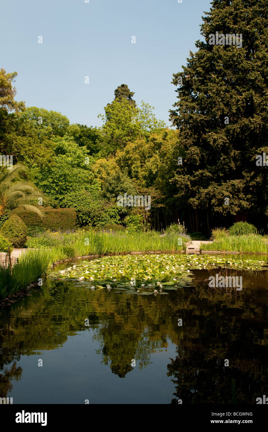 Botanic Gardens Jardin des Plantes Montpellier Longuedoc France Stock