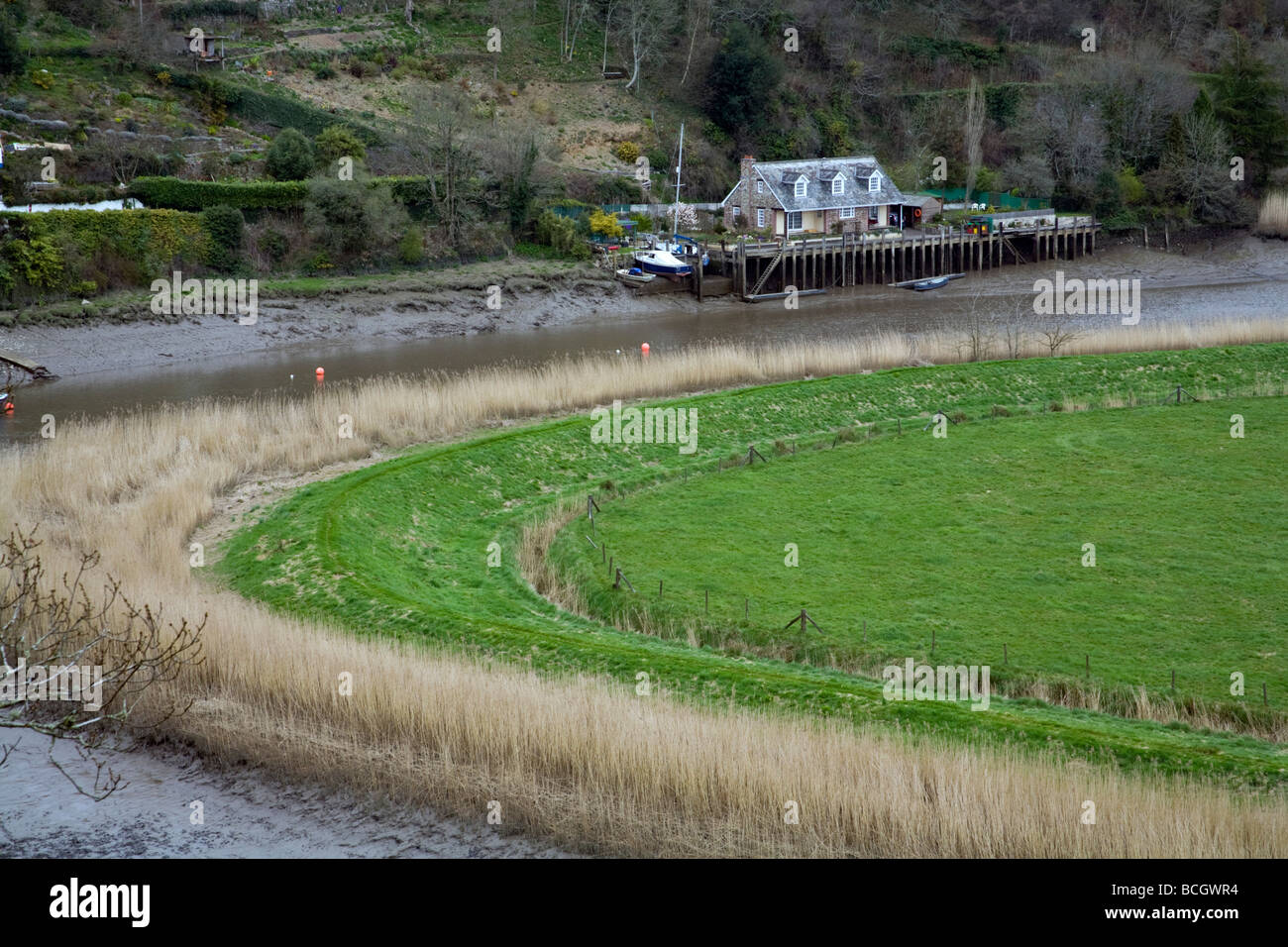 river tamar and boat house Stock Photo Alamy