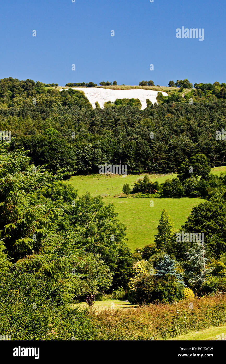 The White Horse of Kilburn North Yorkshire Moors National Park Stock