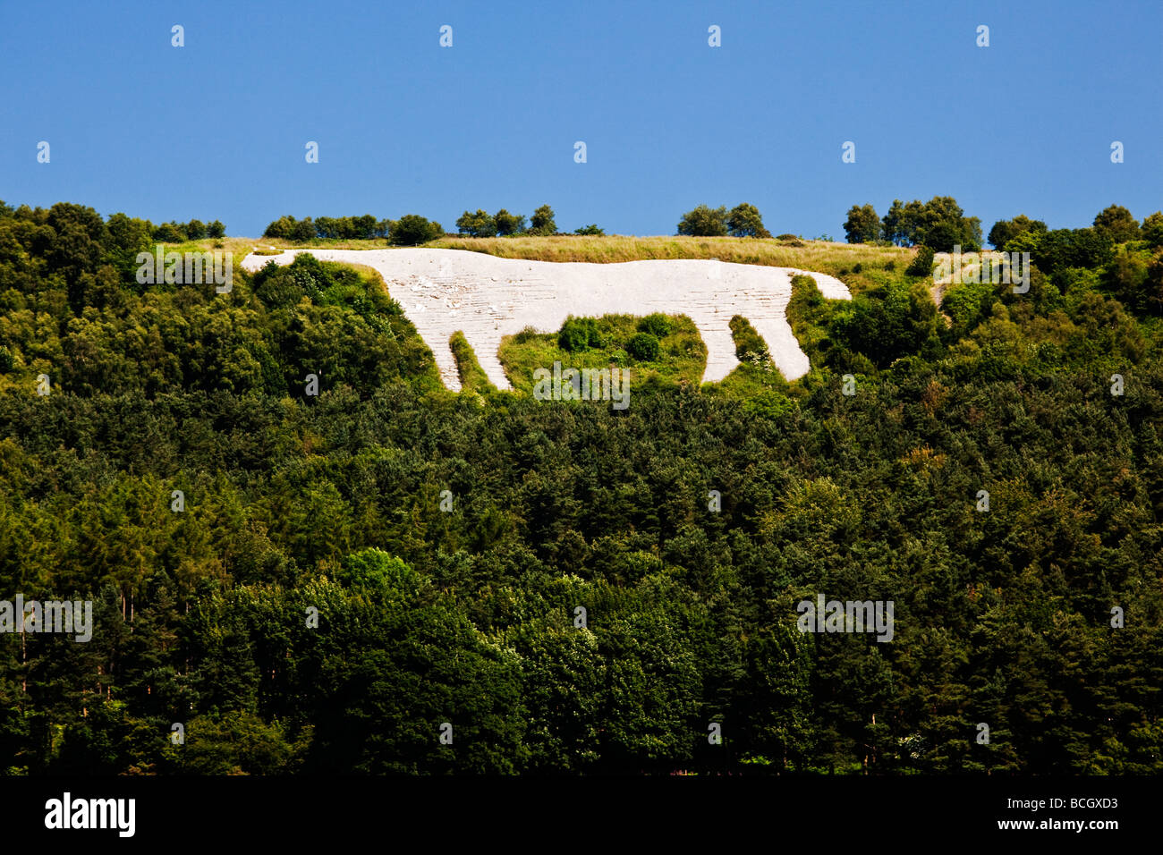 The White Horse of Kilburn North Yorkshire Moors National Park Stock