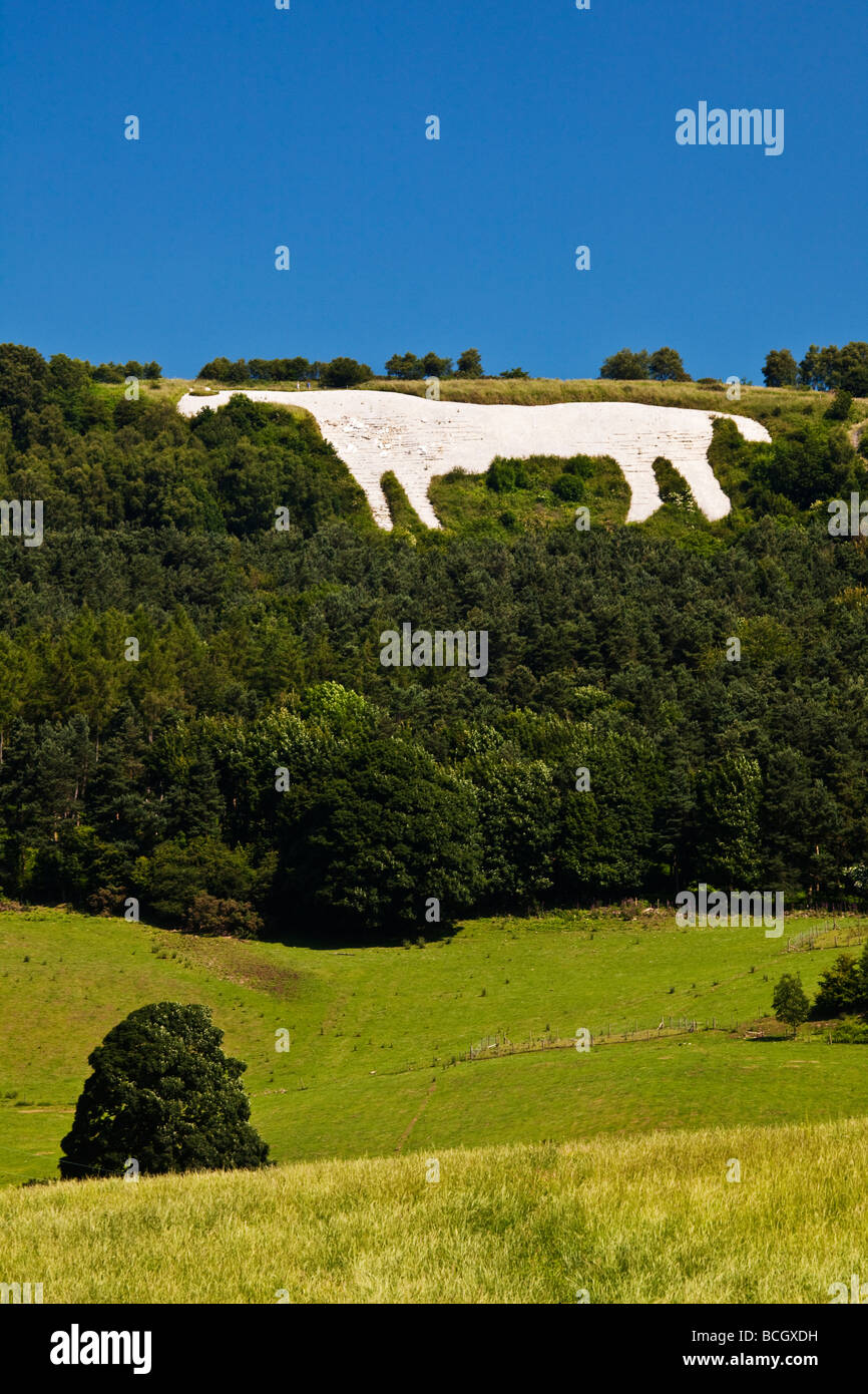 The White Horse of Kilburn North Yorkshire Moors National Park Stock