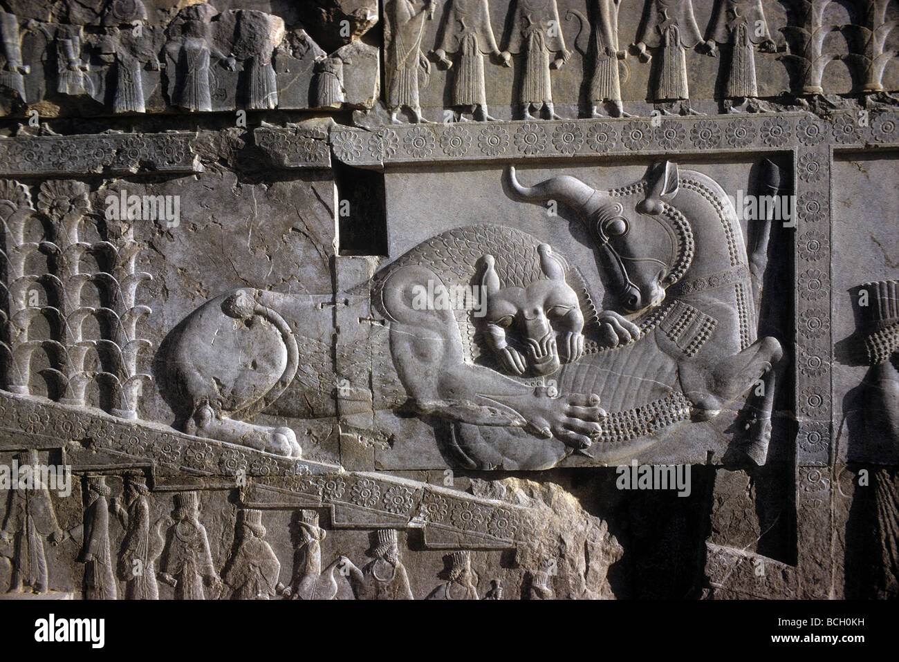 Part of a bas relief of a lion attacking a bull in Persepolis Iran a symbol of the Zoroastrian religion referring to Now Roz New Stock Photo