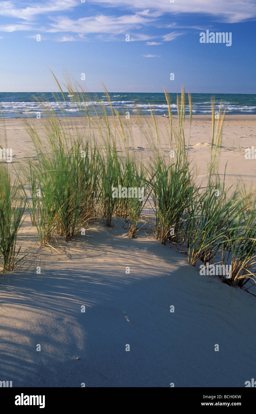 Indiana Dunes National Lakeshore along Lake Michigan Stock Photo Alamy