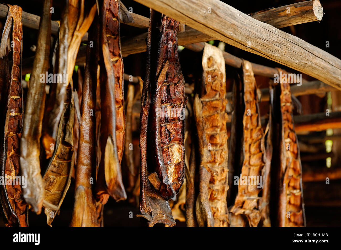 Fish smokehouse Athabascan Alaska Stock Photo Alamy