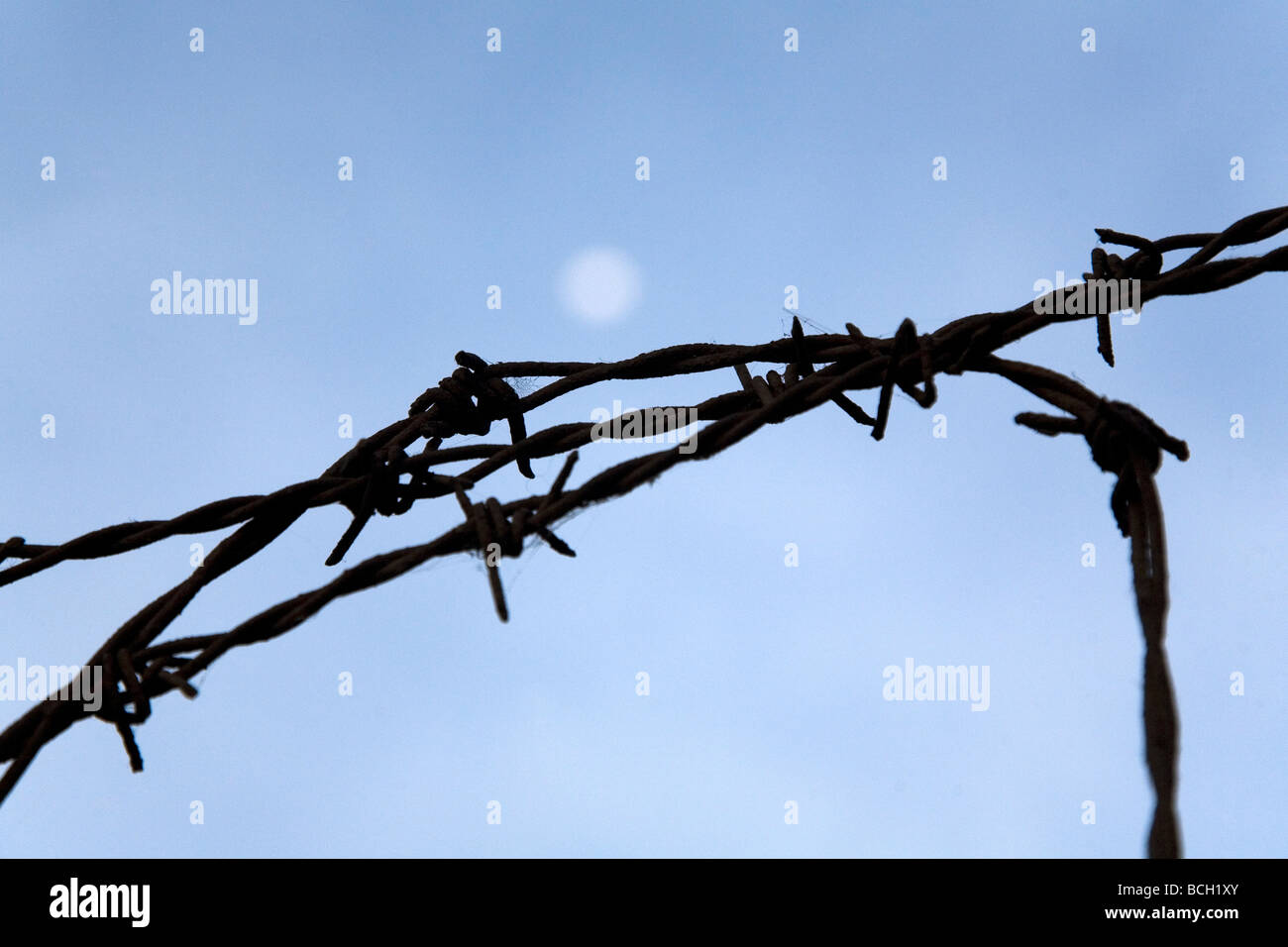 A barbed wire fence stands silhouetted against an evening sky. The moon ...