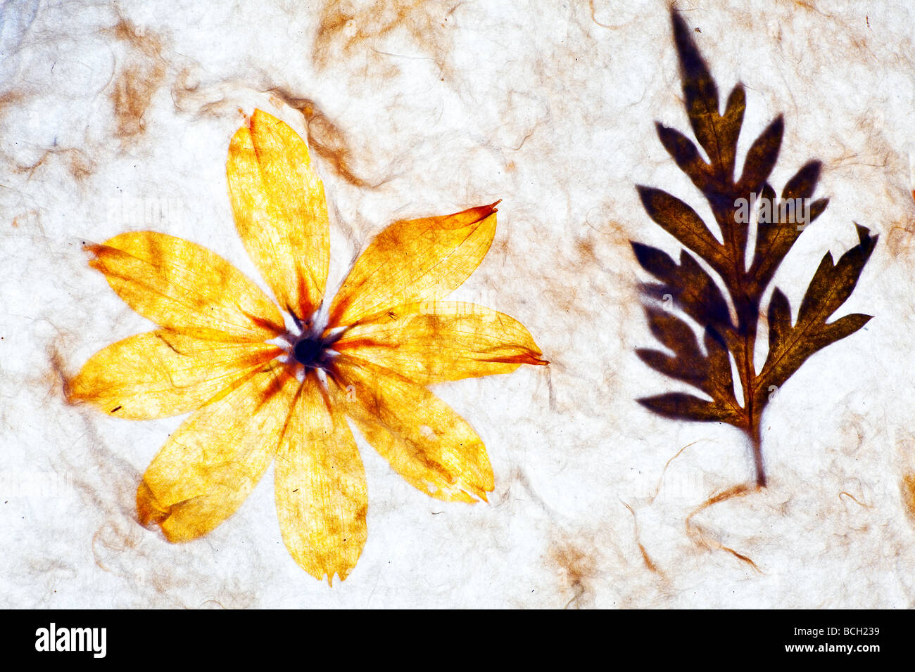 handmade paper background with textures Stock Photo