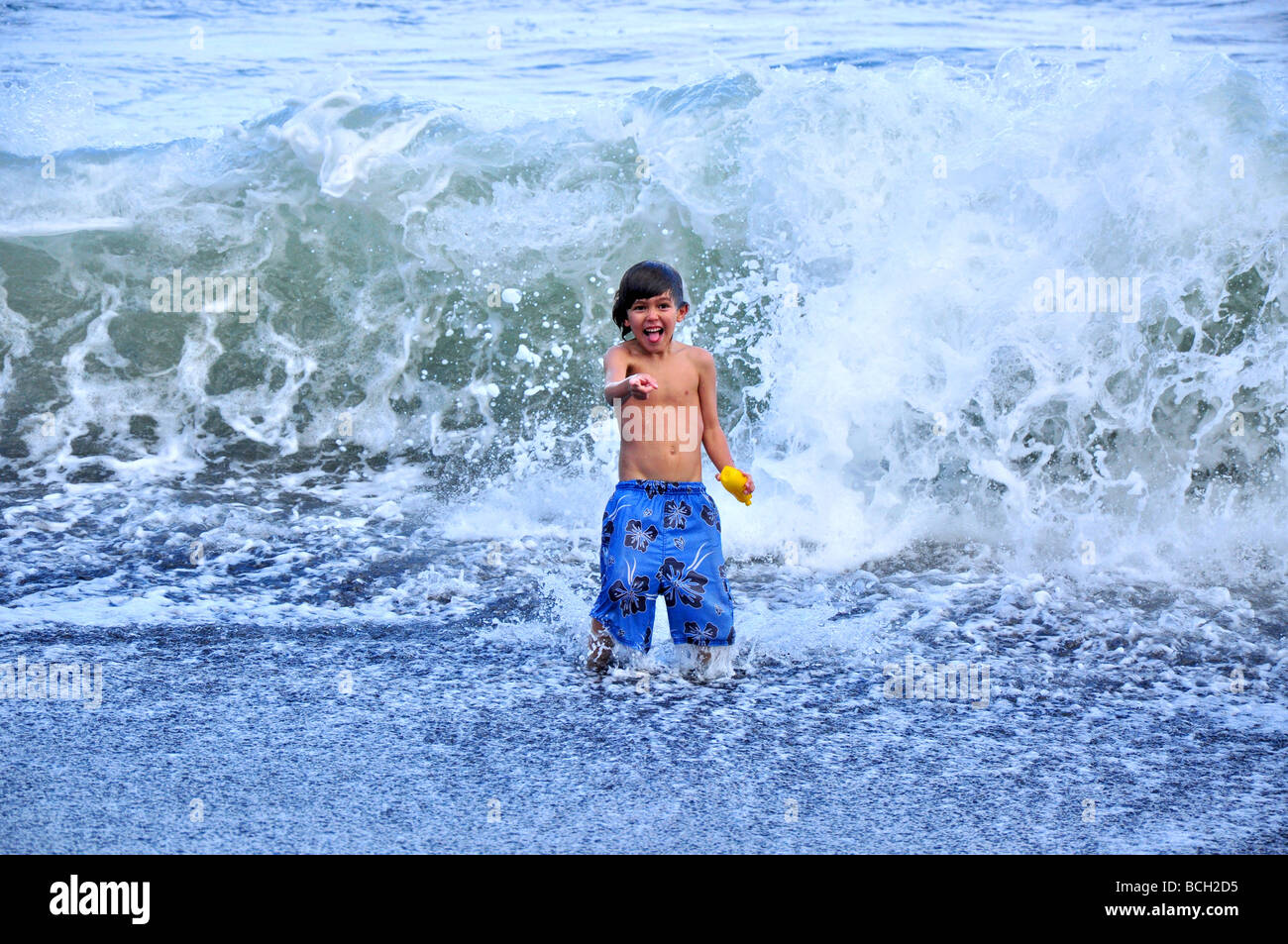 Young boy in Hawaii waves Stock Photo Alamy