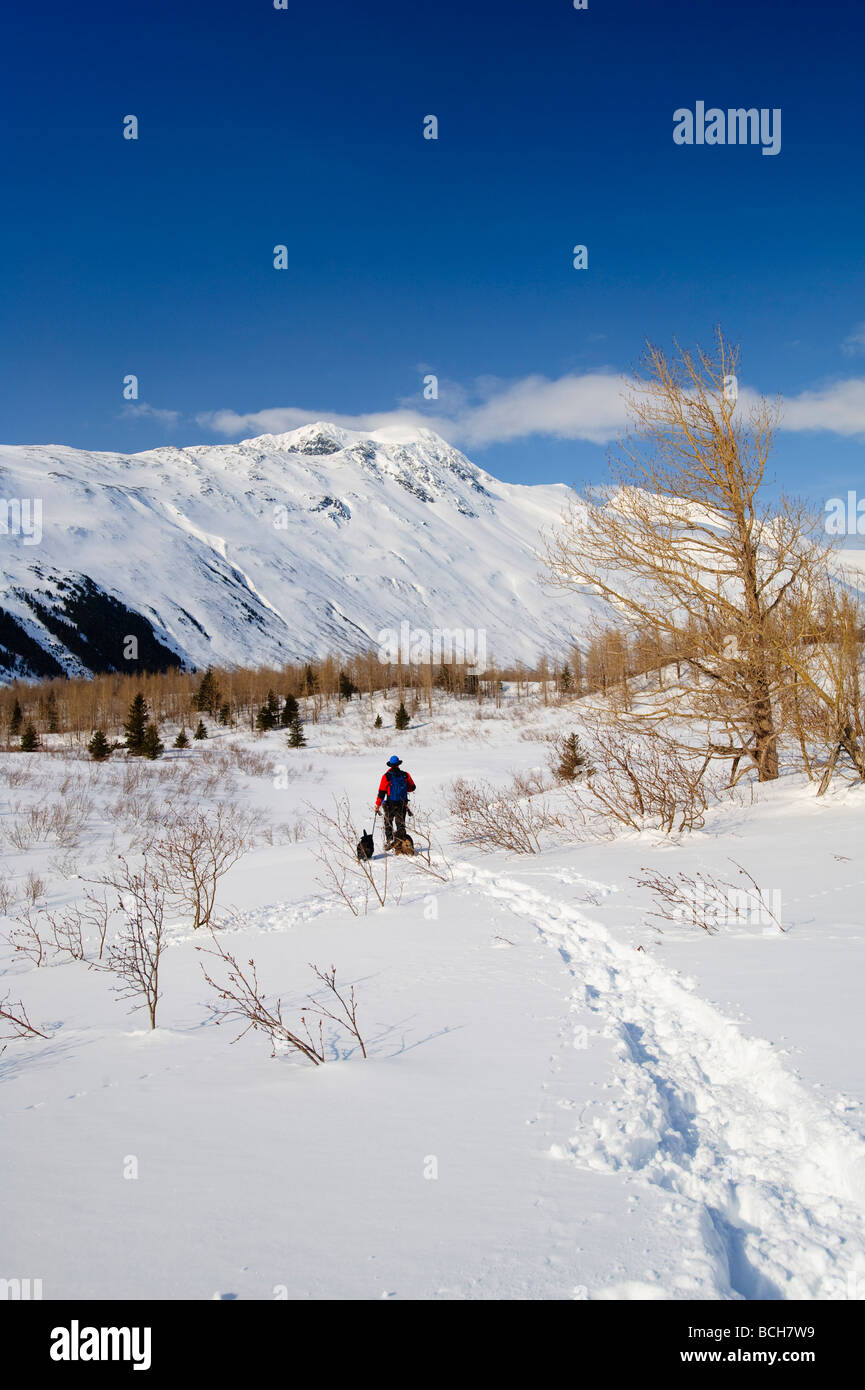 A man and his dogs snowshoeing in Bear Valley with the Chugach Mountains in the background Stock Photo