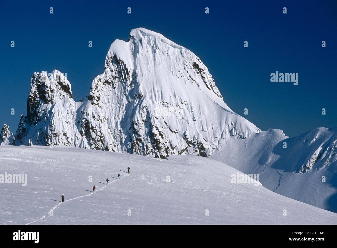 Cross-Country Skiing on Juneau Icefield SE Alaska scenic Stock Photo