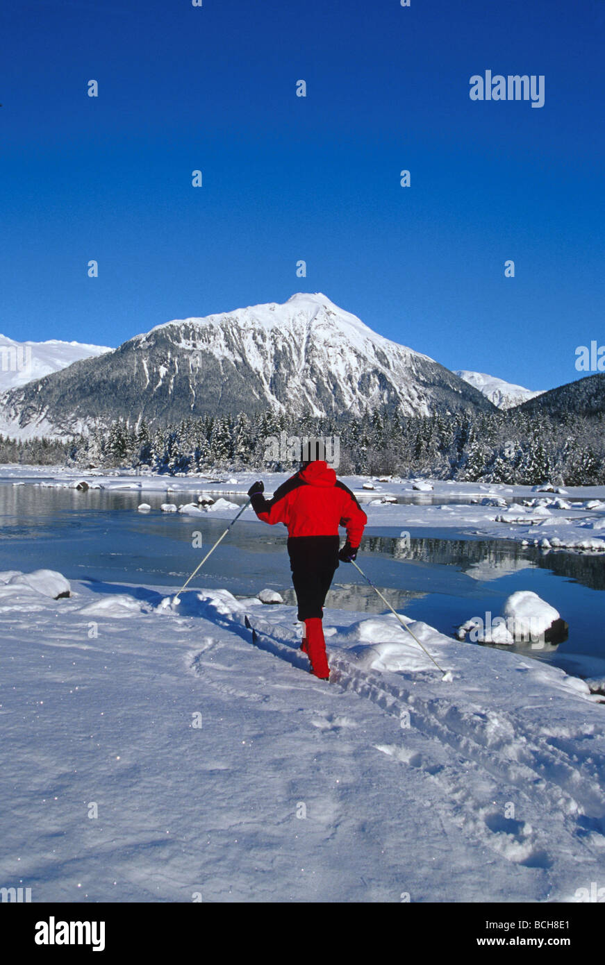 Man Cross Country Skiing Mendenhall Lake SE Winter Stock Photo