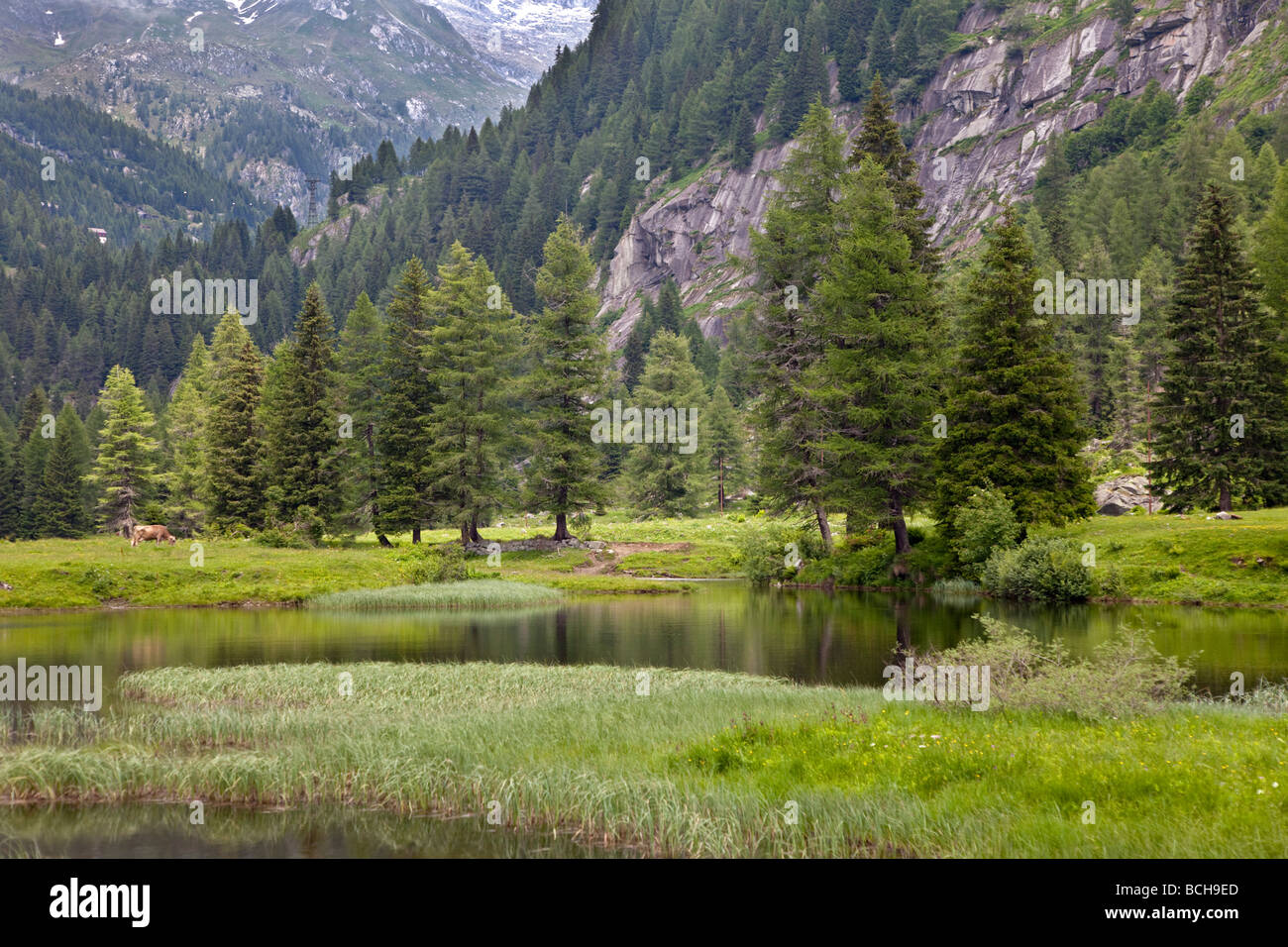 Val daone hires stock photography and images Alamy