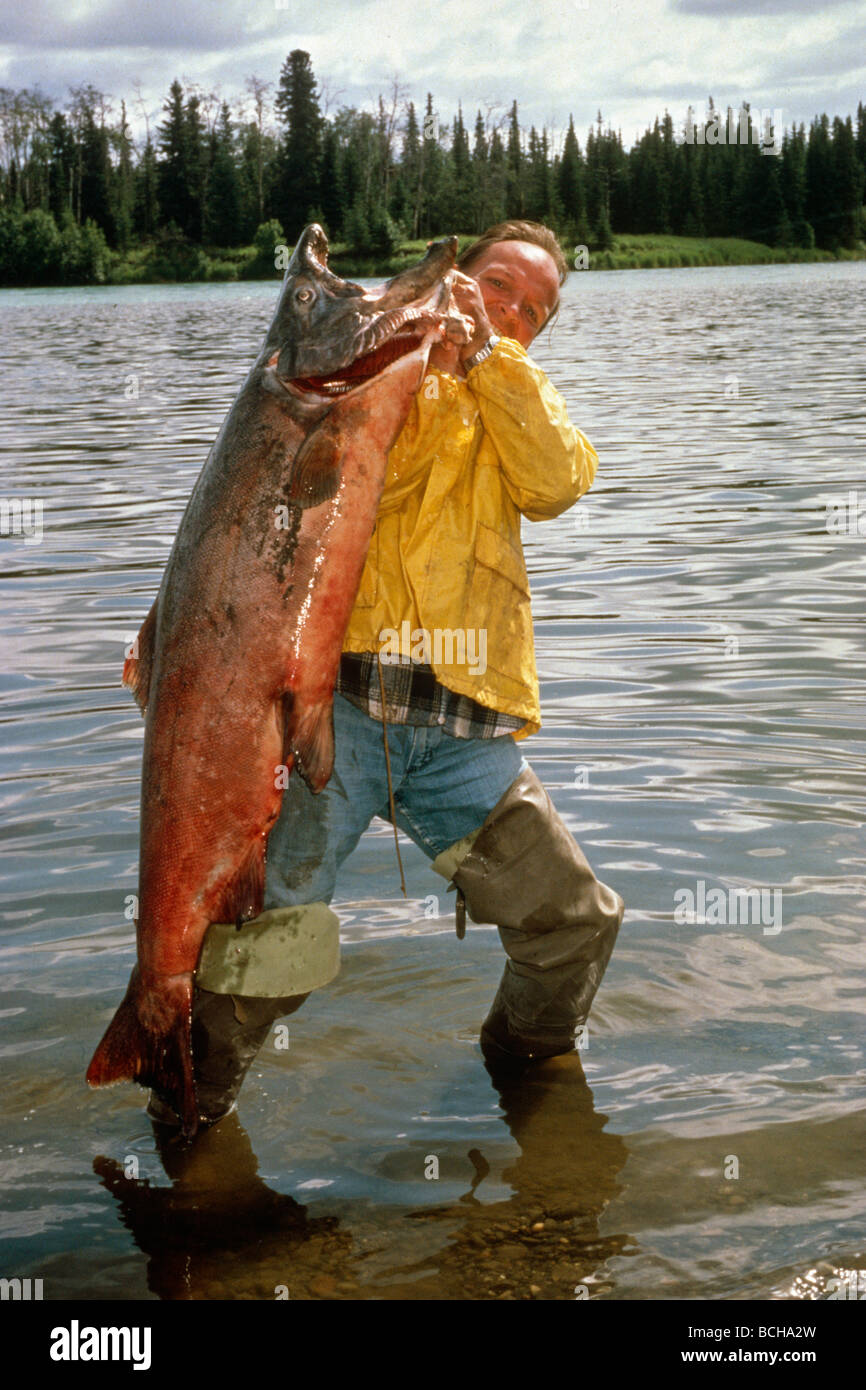 Kenai river king hires stock photography and images Alamy