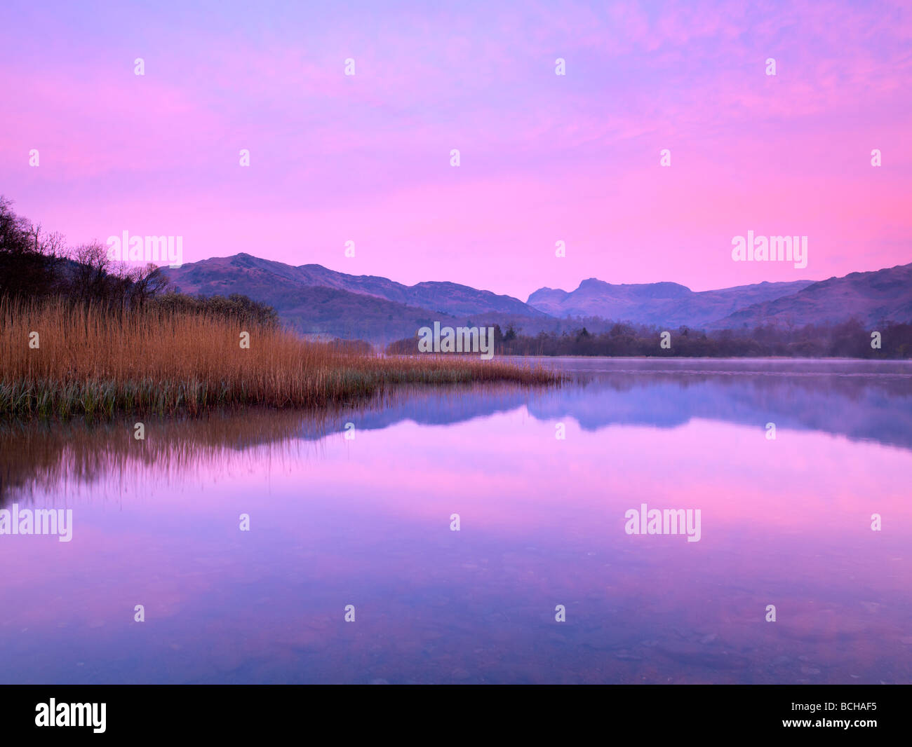 England, Cumbria, Lake District NP, view at dawn over Elter Water to Langdale Pikes Stock Photo