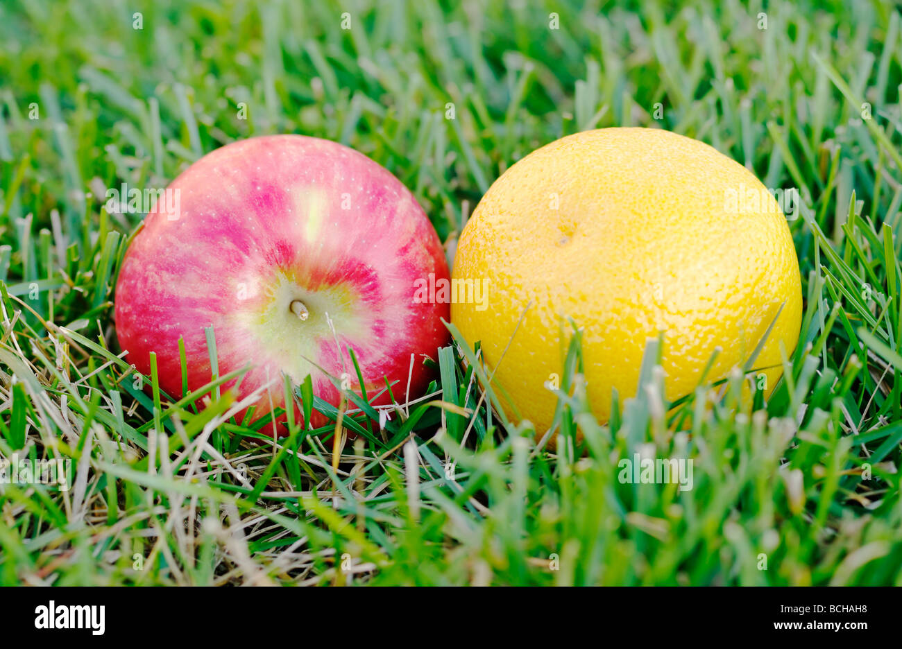 Red apple and orange in grass Stock Photo