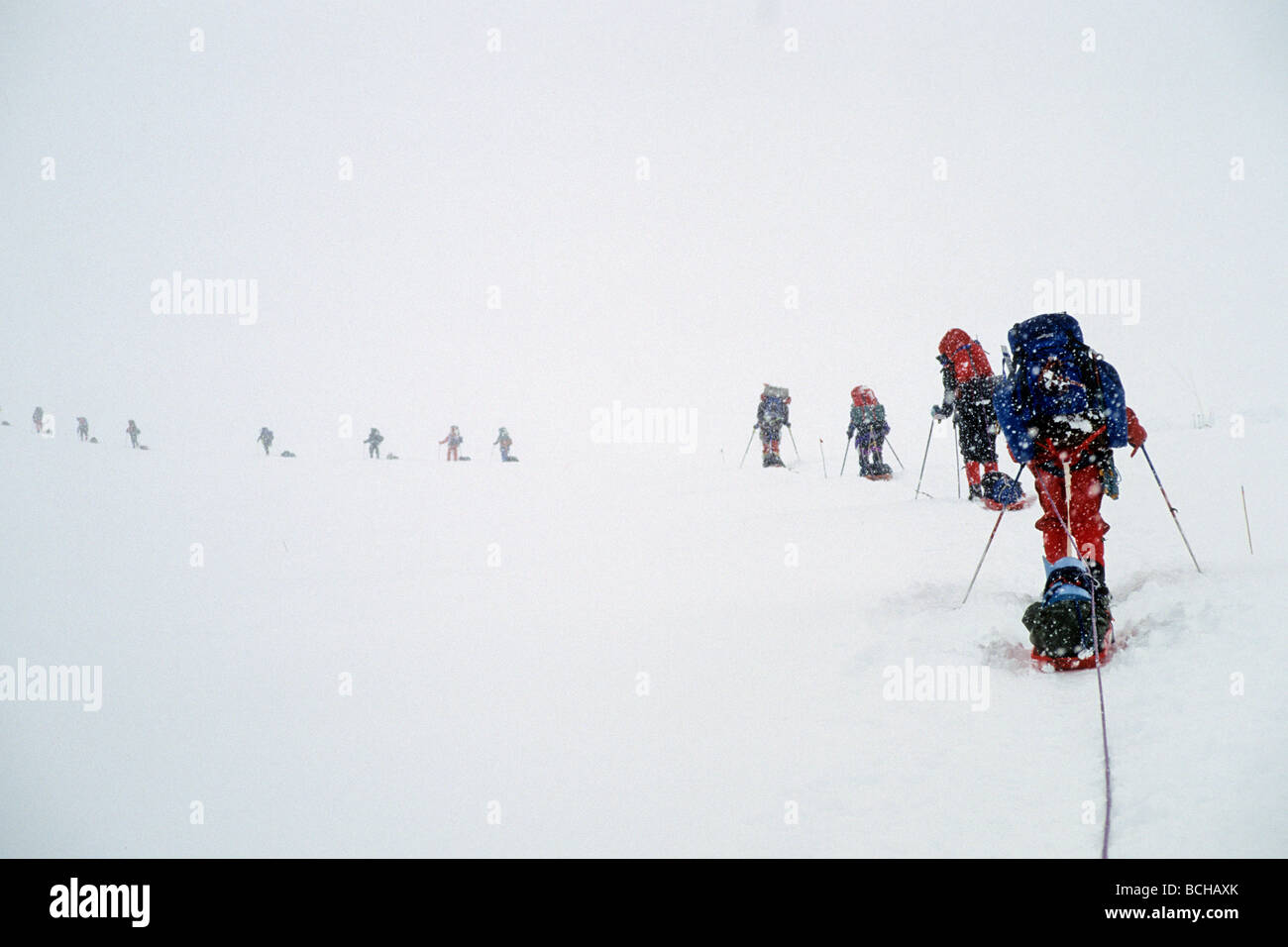Climbers Climbing Kahiltna Glacier Denali NP Int AK Summer 8000' Stock
