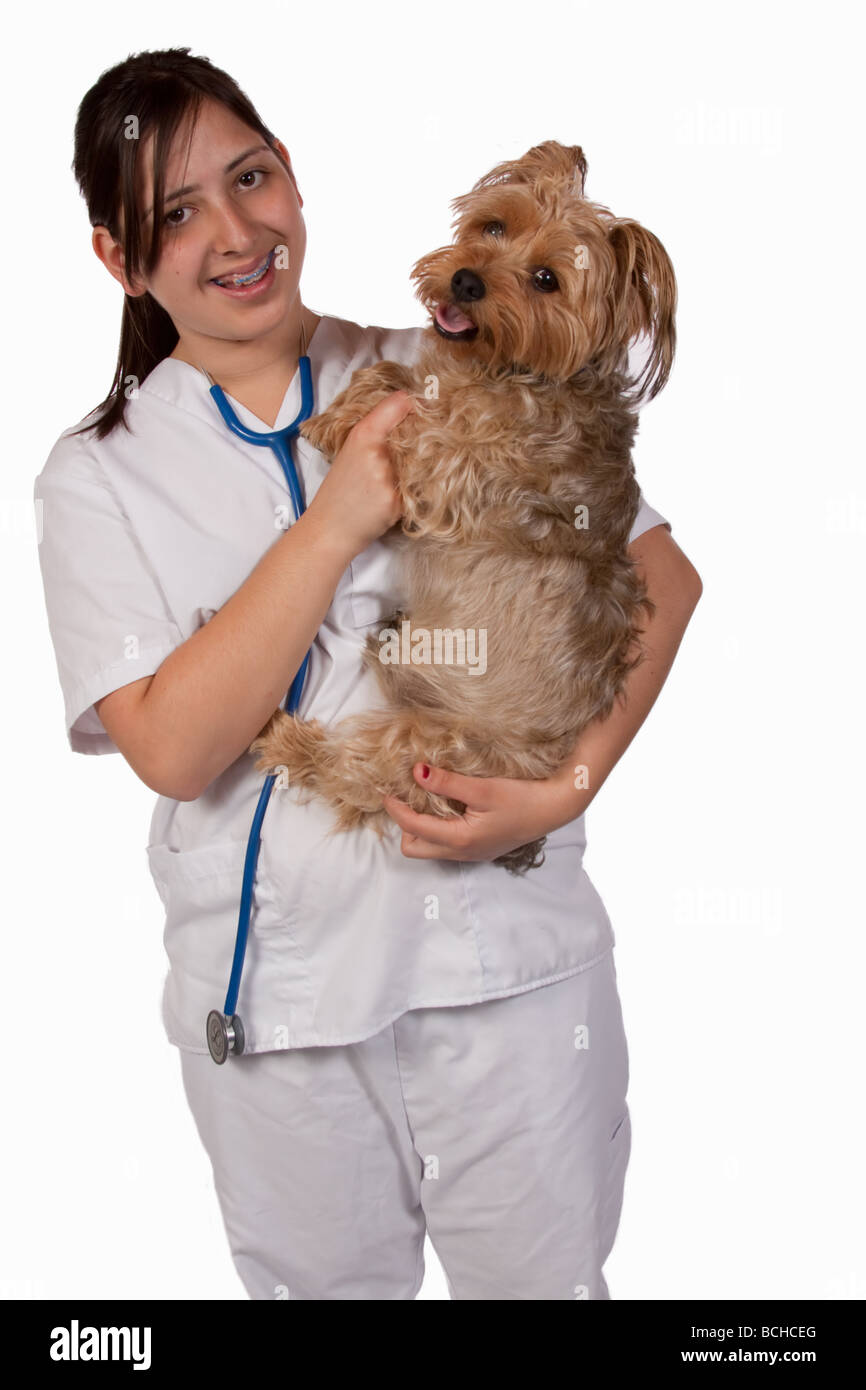 Animal Health Care Worker Stock Photo - Alamy