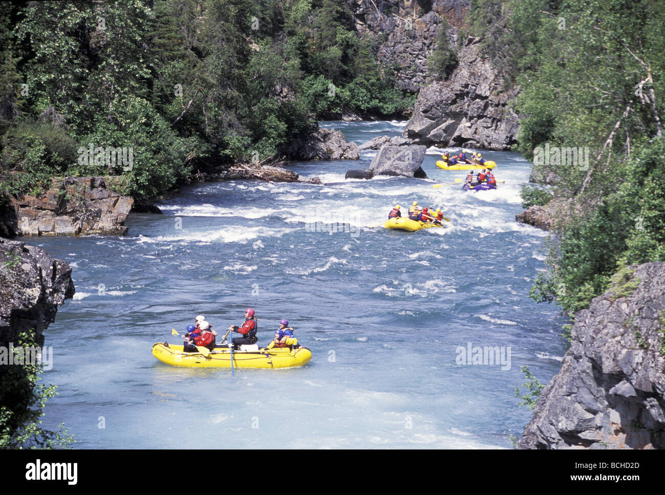 Whitewater Rafters on Six Mile Creek Chugach NF AK/nKenai Peninsula