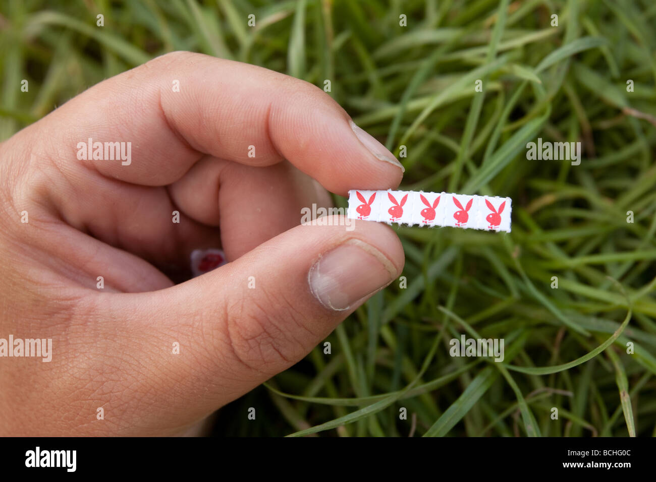 Playboy bunny Acid LSD trips or tabs held in a mans fingers Stock Photo