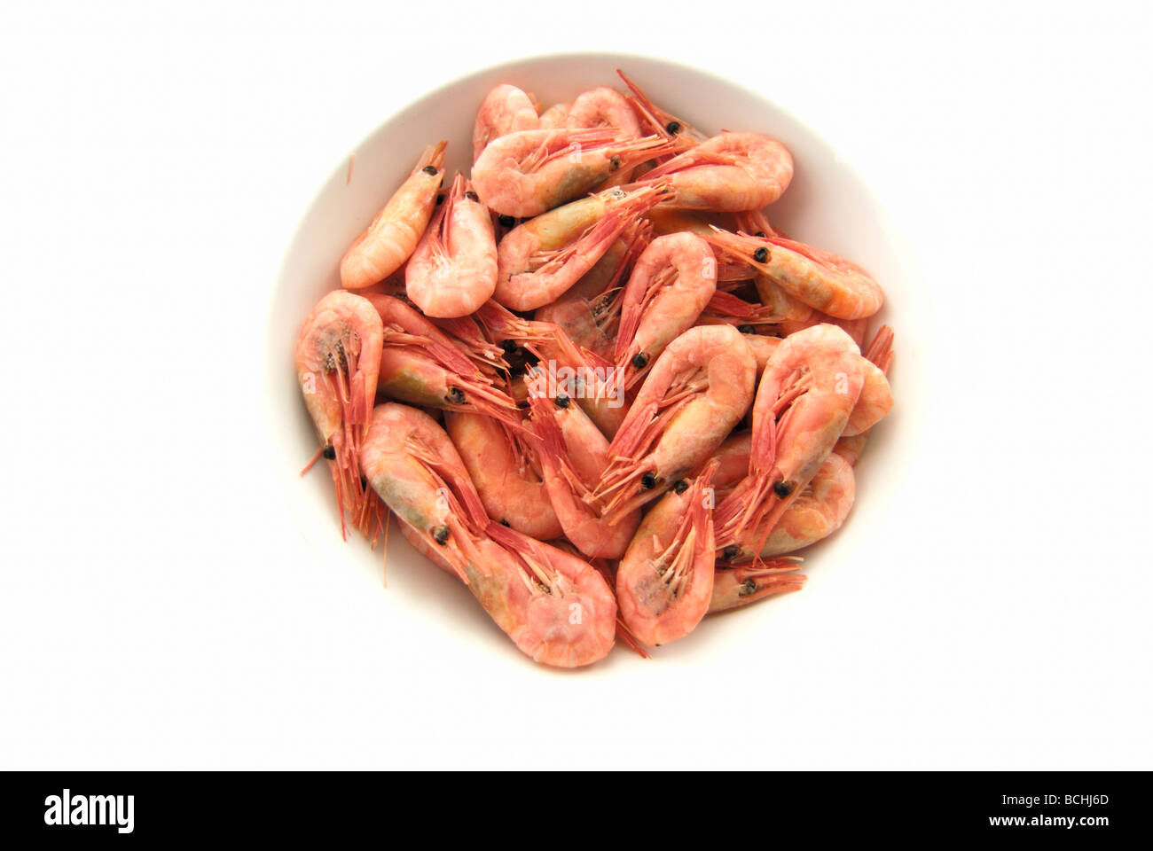 A bowl of cooked prawns Stock Photo