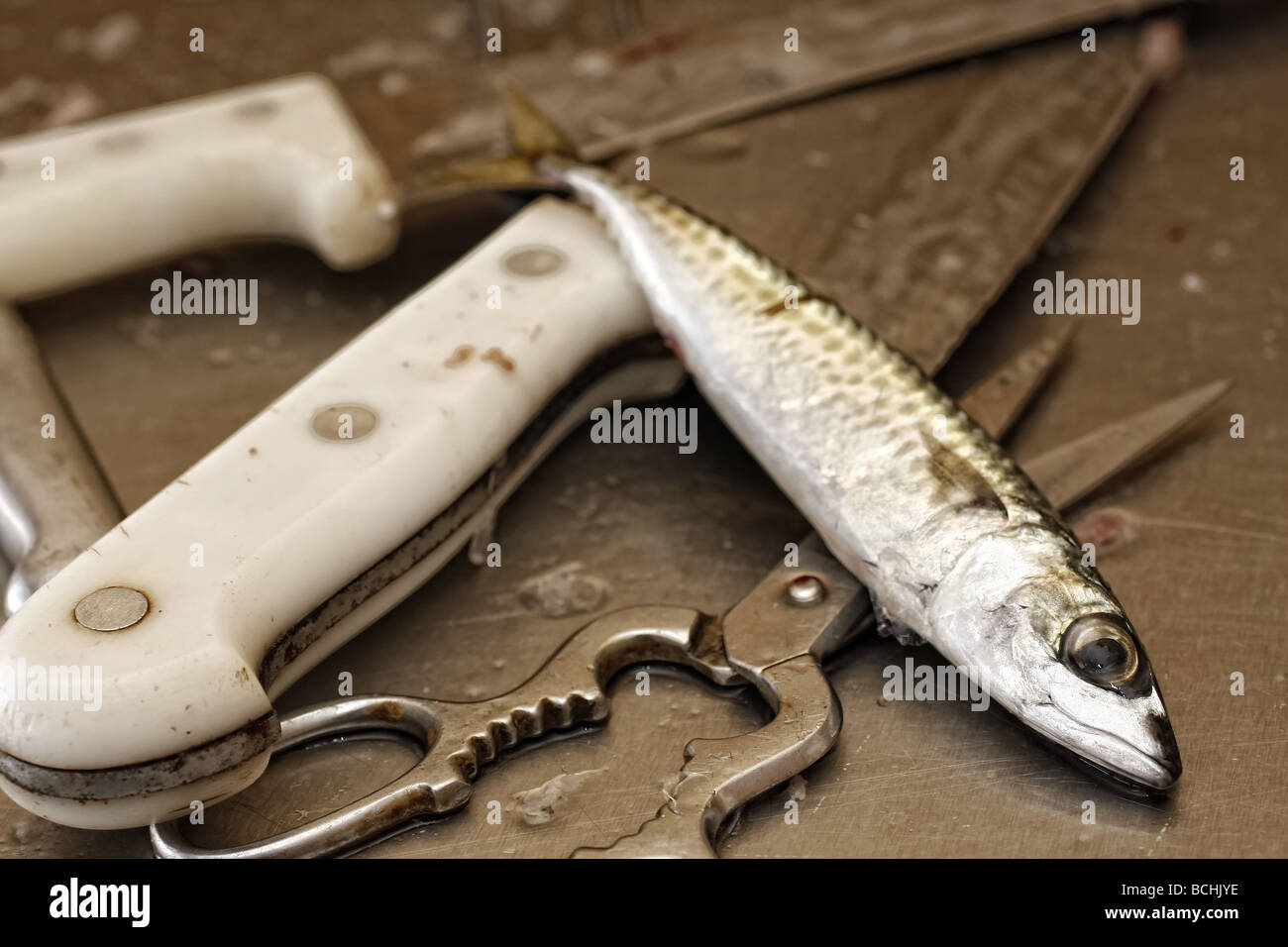Fish preparation for the meal health concept Stock Photo - Alamy