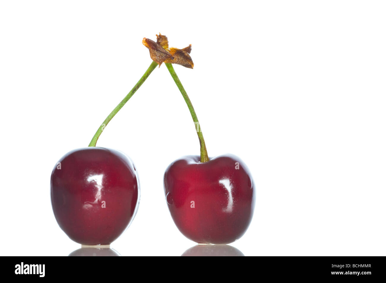 cherries on white background Stock Photo - Alamy