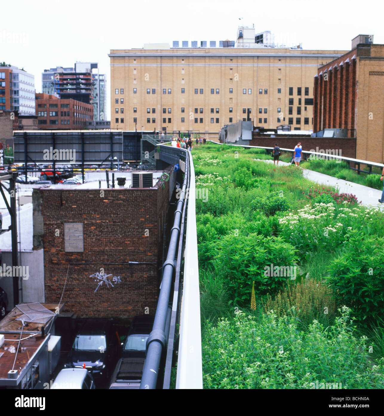 Looking south along A herb garden in the High Line Park Chelsea