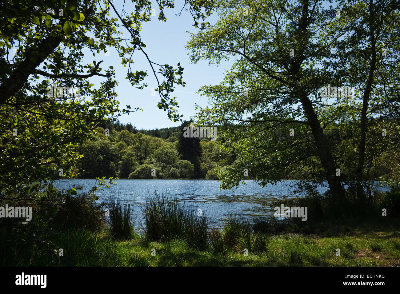 Llyn Mair, Snowdonia National Park, Gwynedd, Wales Stock Photo