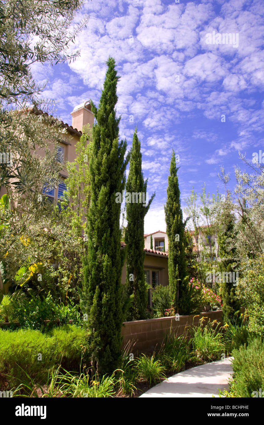 Park in California, USA Stock Photo Alamy
