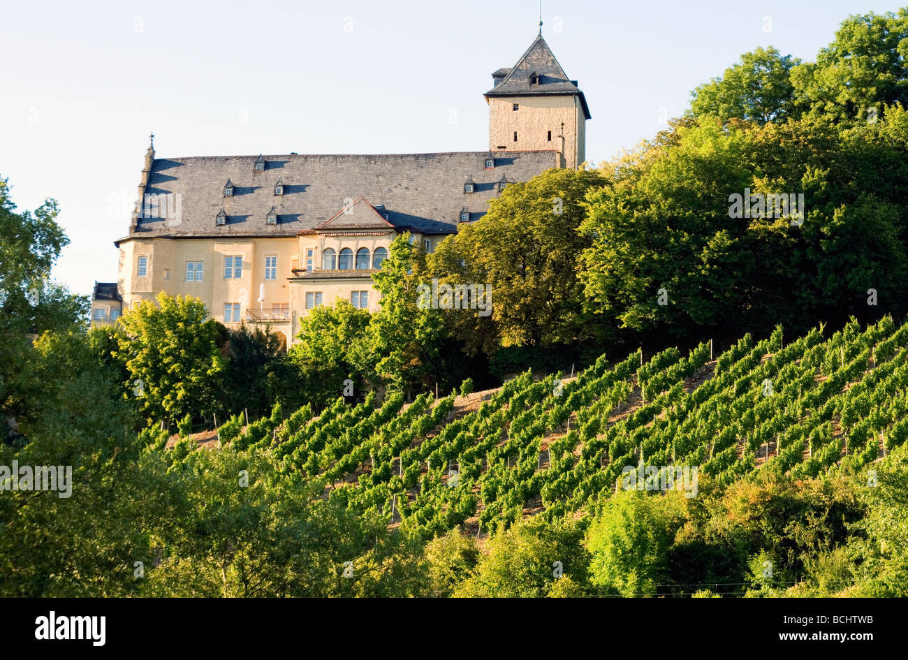 Franconia Wine Country along Germany's Main River between Wertheim and Wurzburg in Bavaria Stock Photo